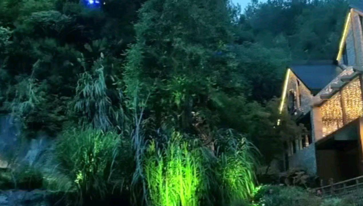 虫虫助手下载